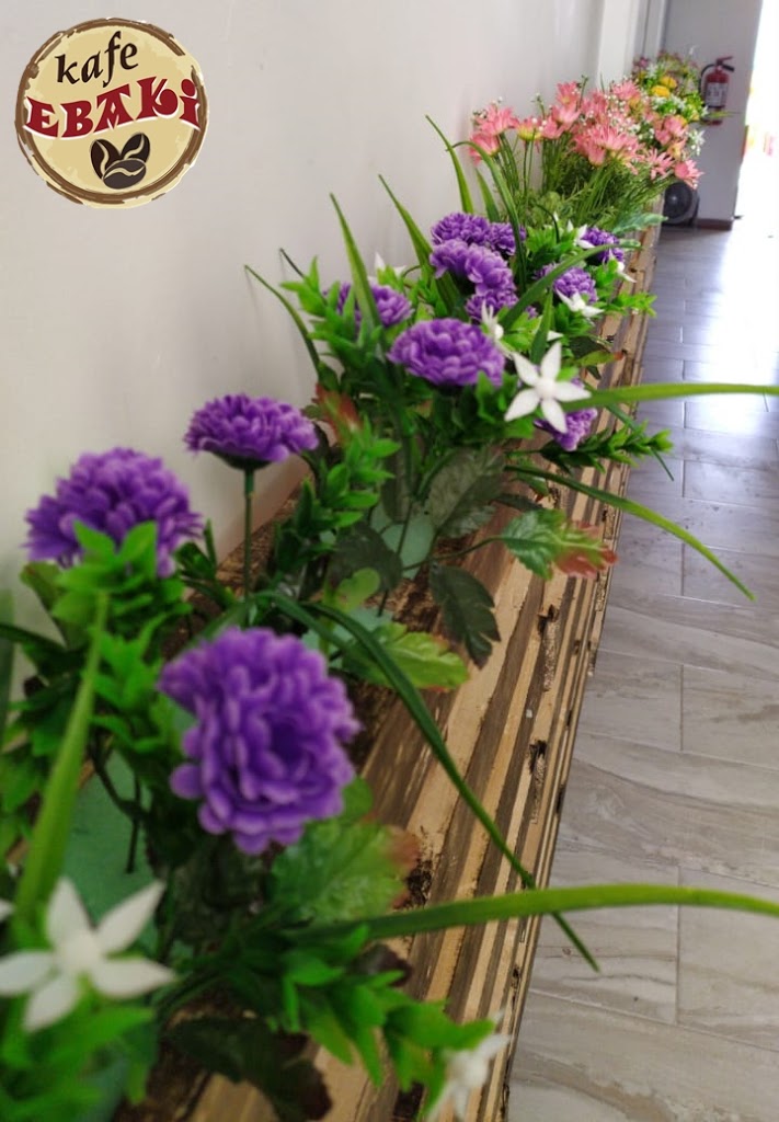 Foto  7