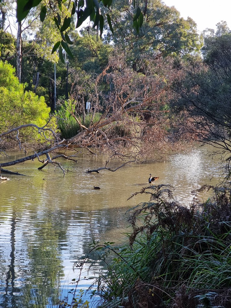 Ringwood Lake Park 4