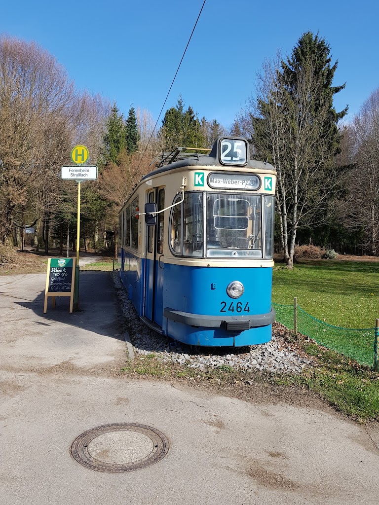 Foto  12