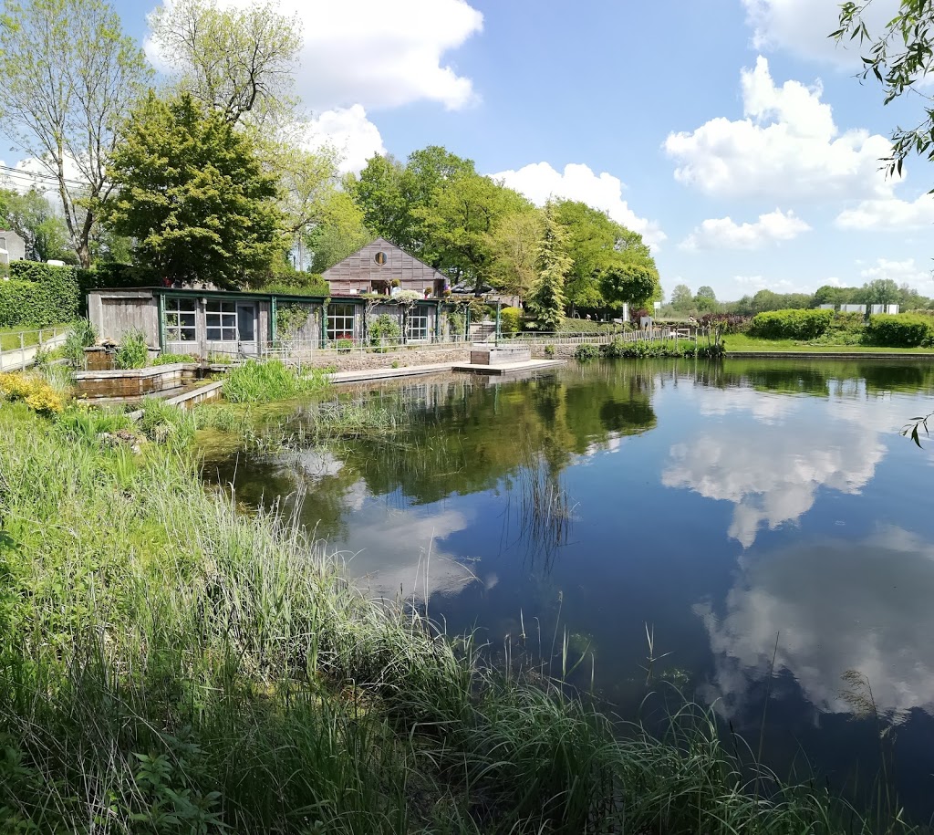 Lac De Bambois