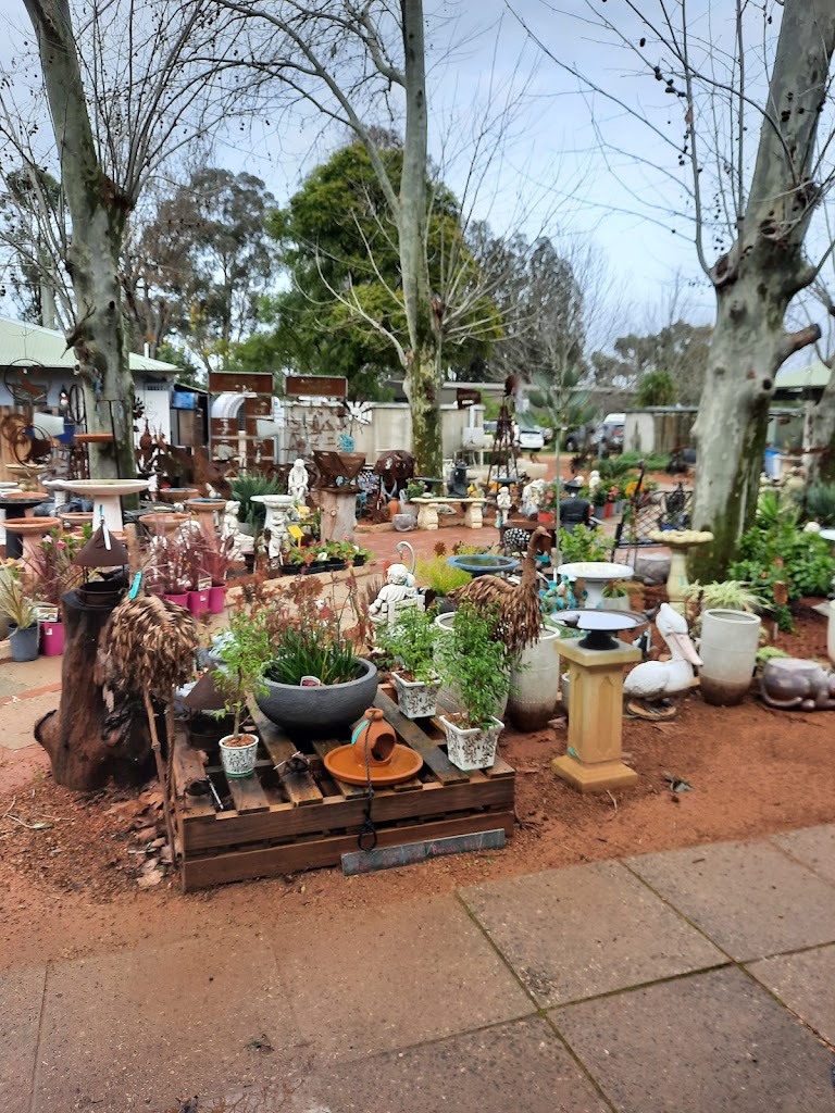 Foto  12