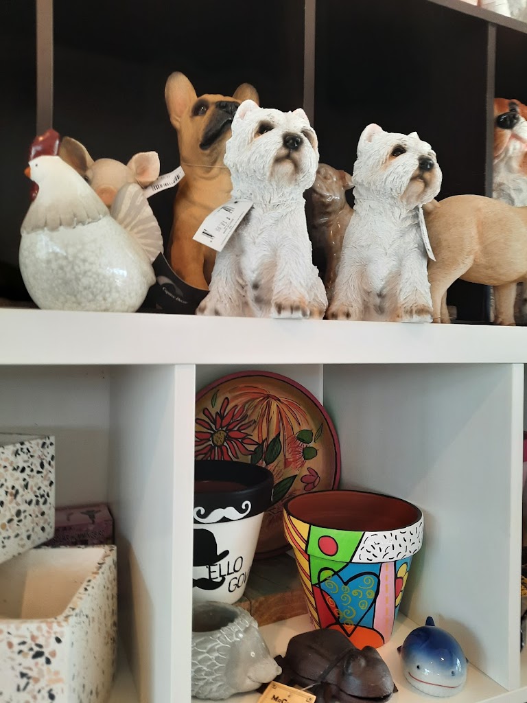 Foto  14