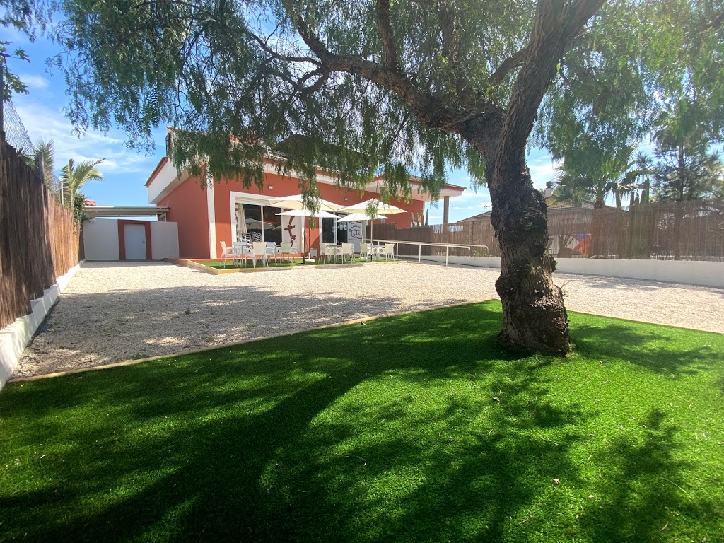 Foto  5