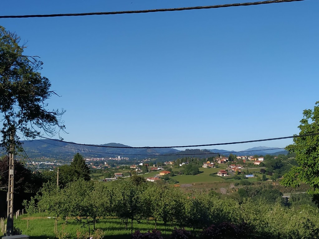 Foto  5