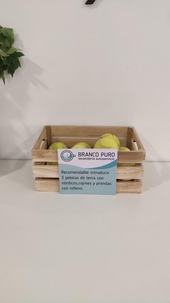 Foto  10