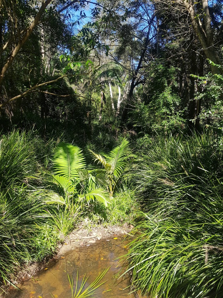 Foto  4