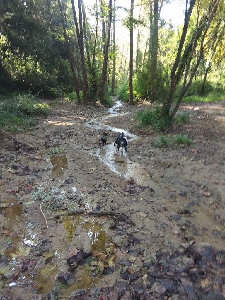 Foto  4