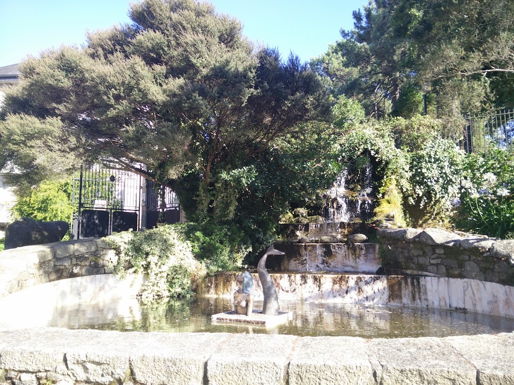 Foto  5