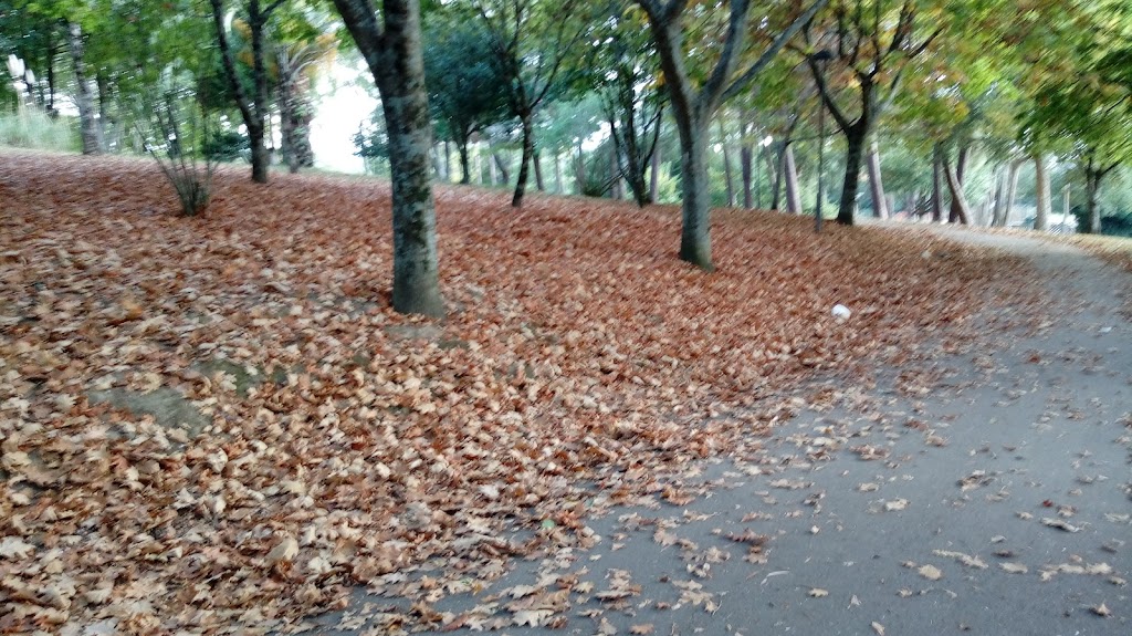 Foto  8