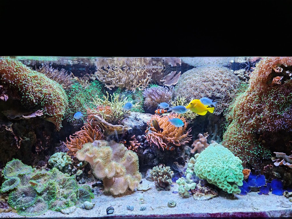 Foto  3