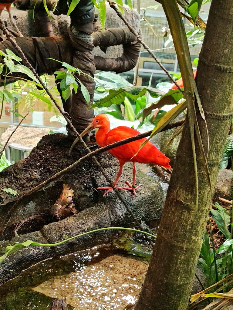 Foto  4