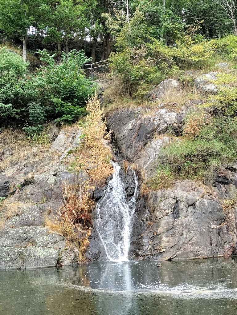 Foto  8