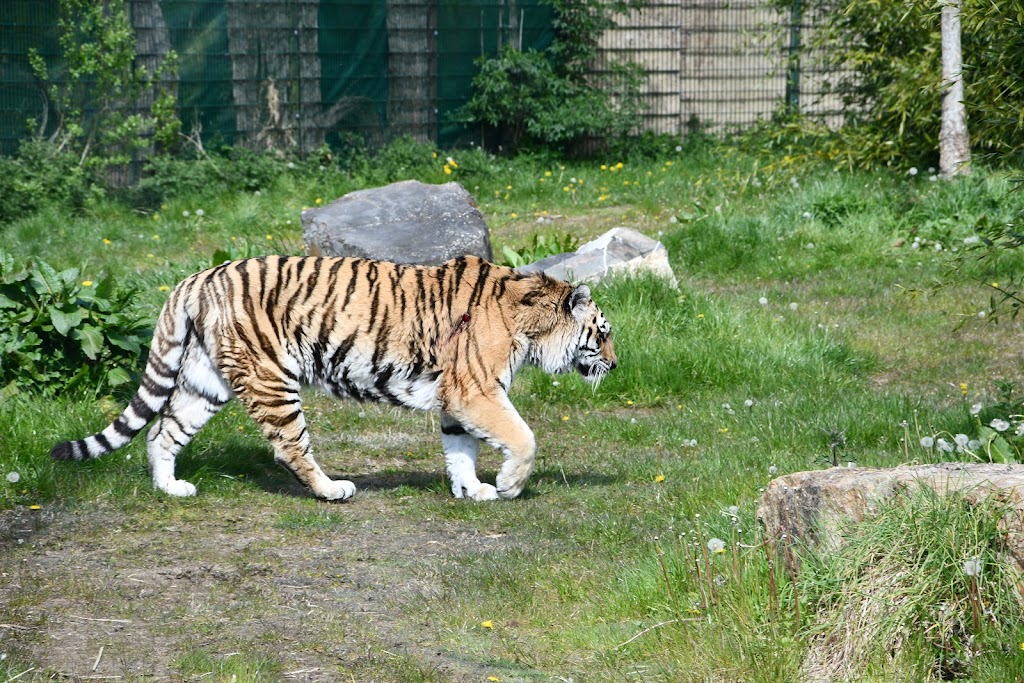 Tayto Park 7