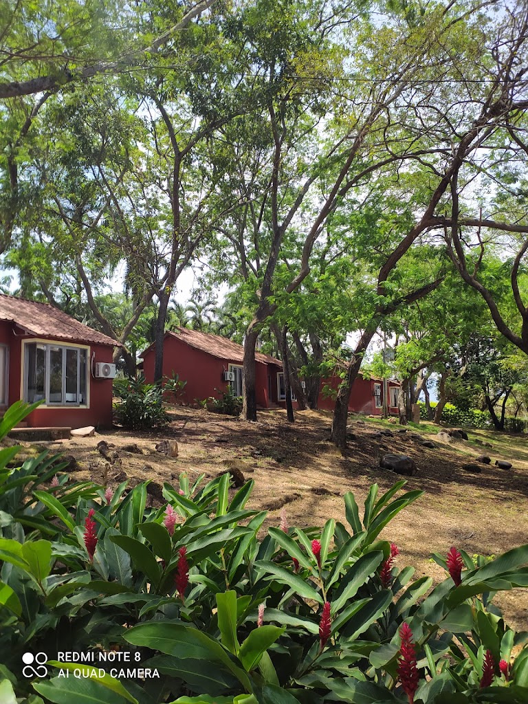 Foto  4