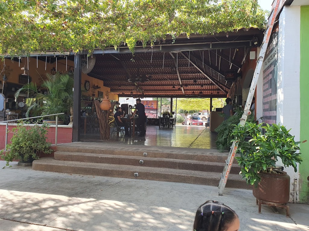 Foto  6