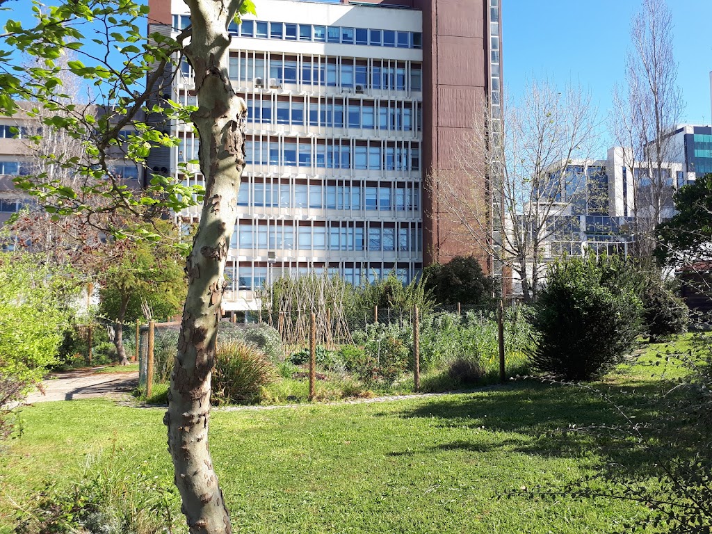 Foto  5