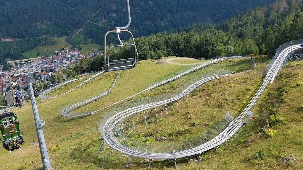 Hasenhorn Rodelbahn Todtnau