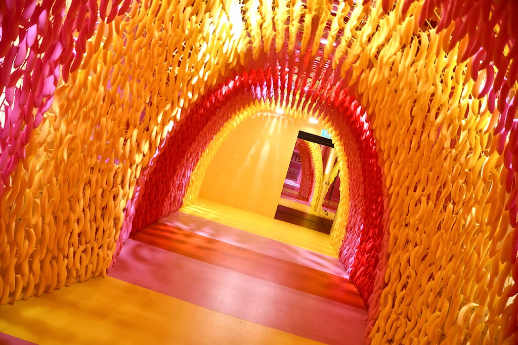 Foto  8