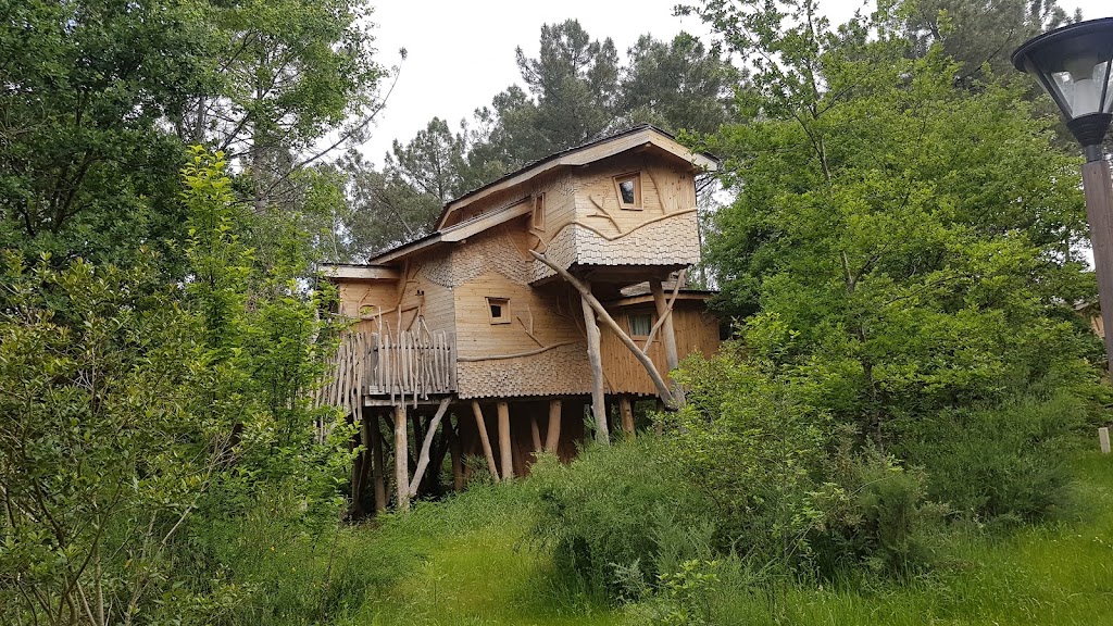 Foto  4