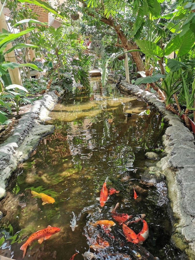Foto  8