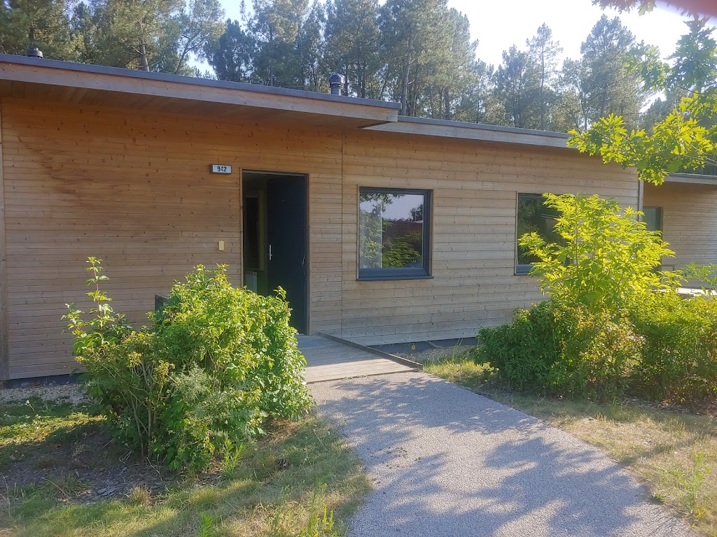 Foto  10