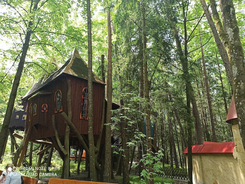 Foto  10