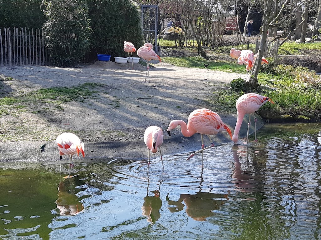 Foto  5