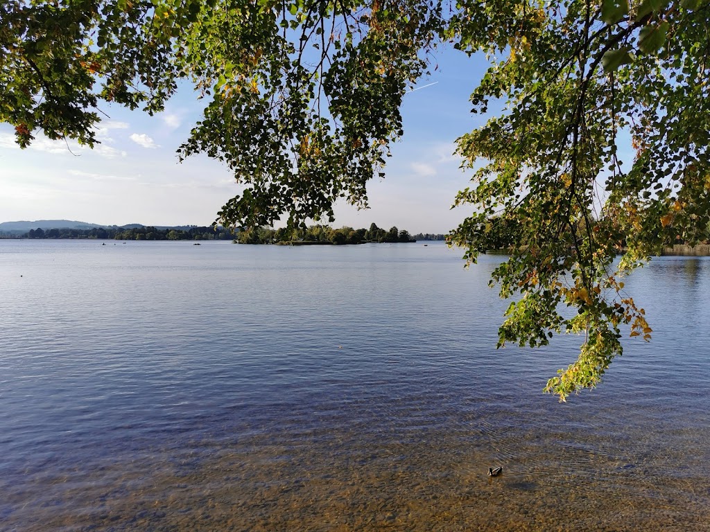 Foto  5