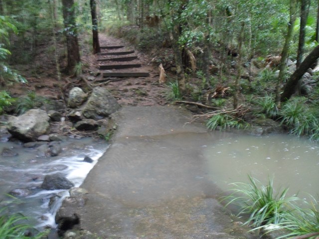 Foto  5