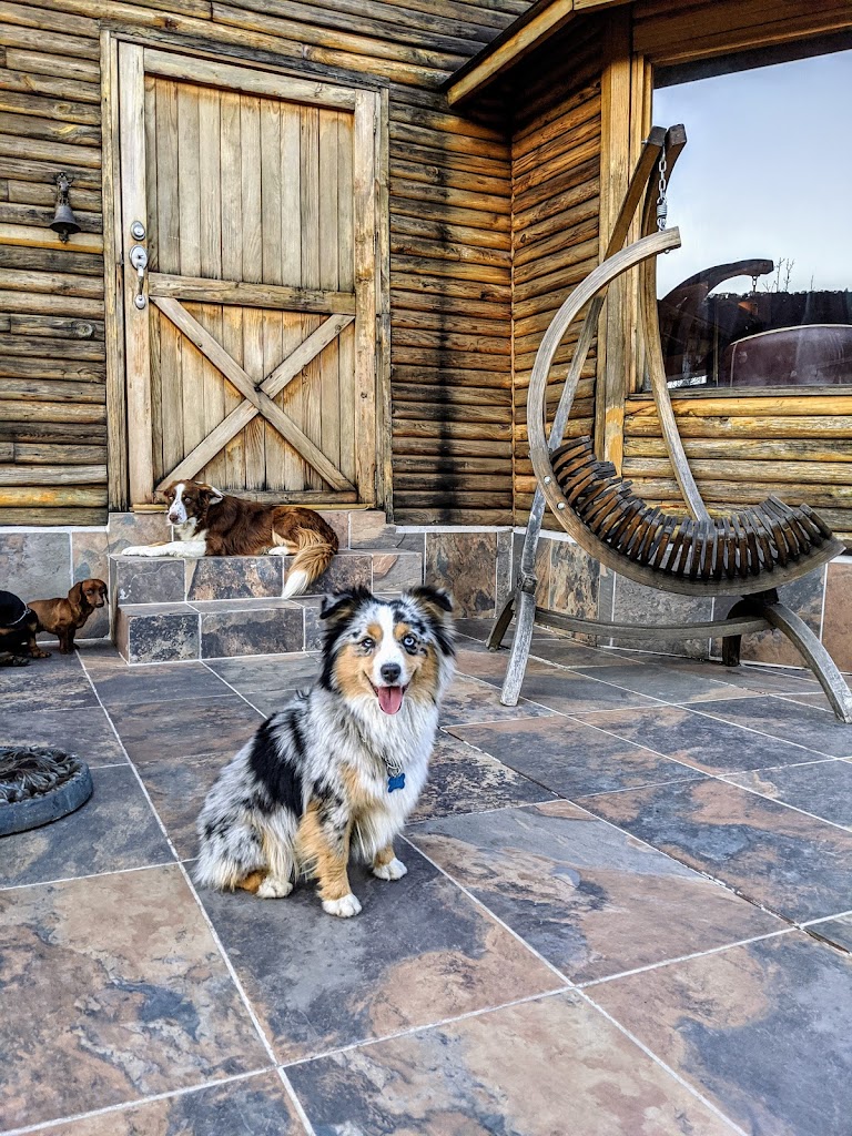 Foto  4