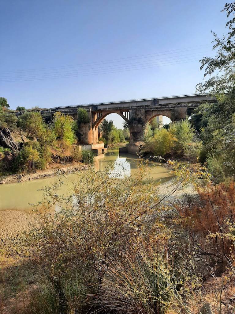 Parque Periurbano de Almodovar del Rio 6