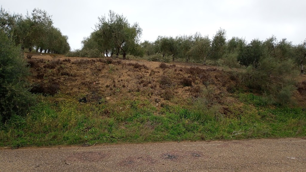 Parque Periurbano de Almodovar del Rio 7