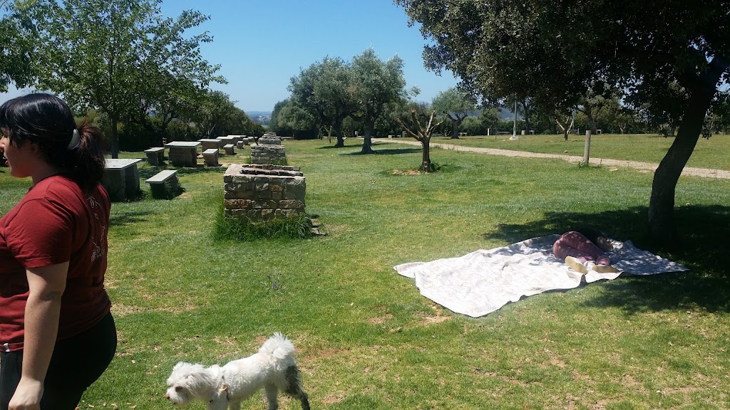 Parque Periurbano de Almodovar del Rio 8