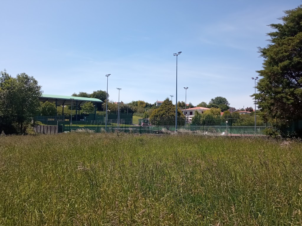 Foto  4