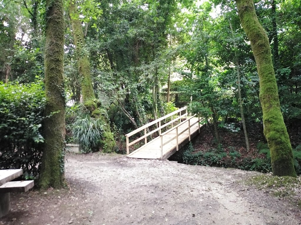Foto  5