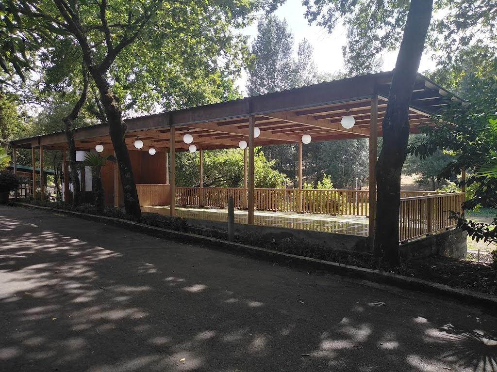Foto  6