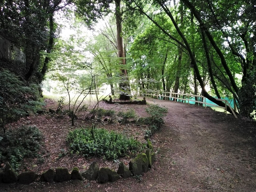 Foto  10