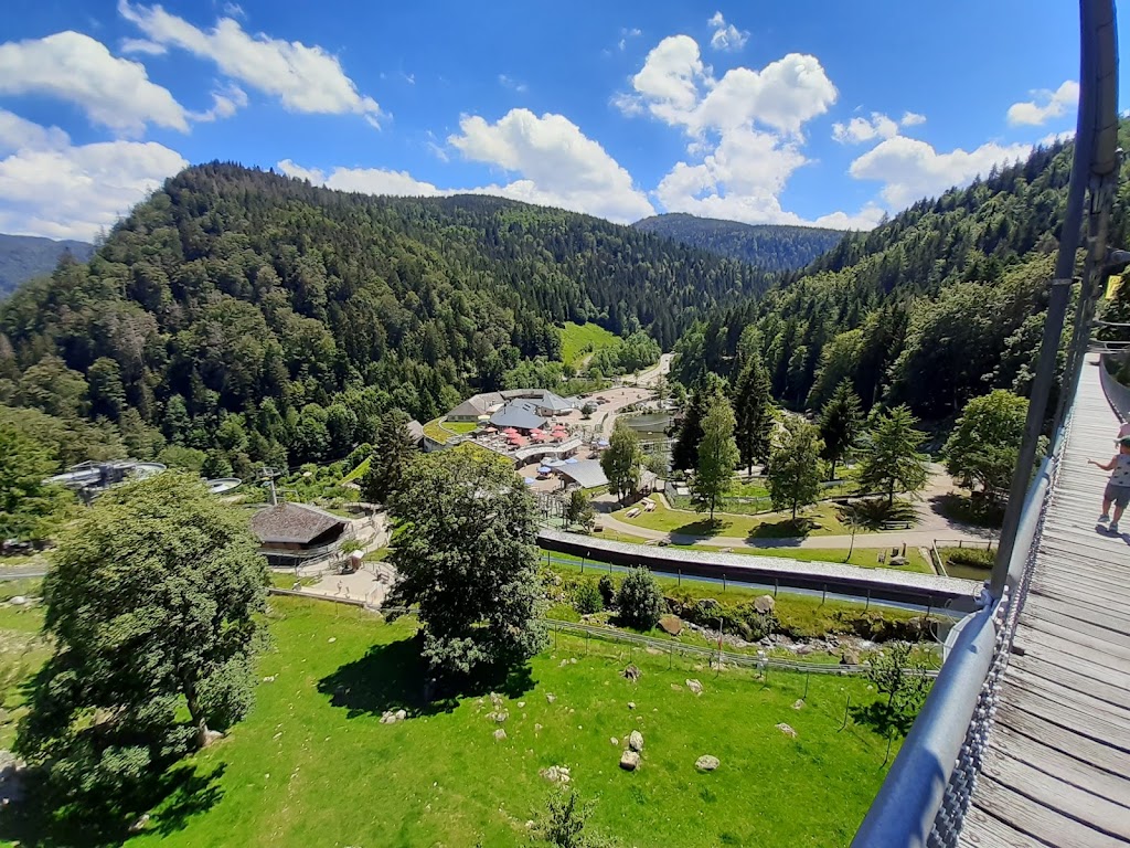 Foto  2