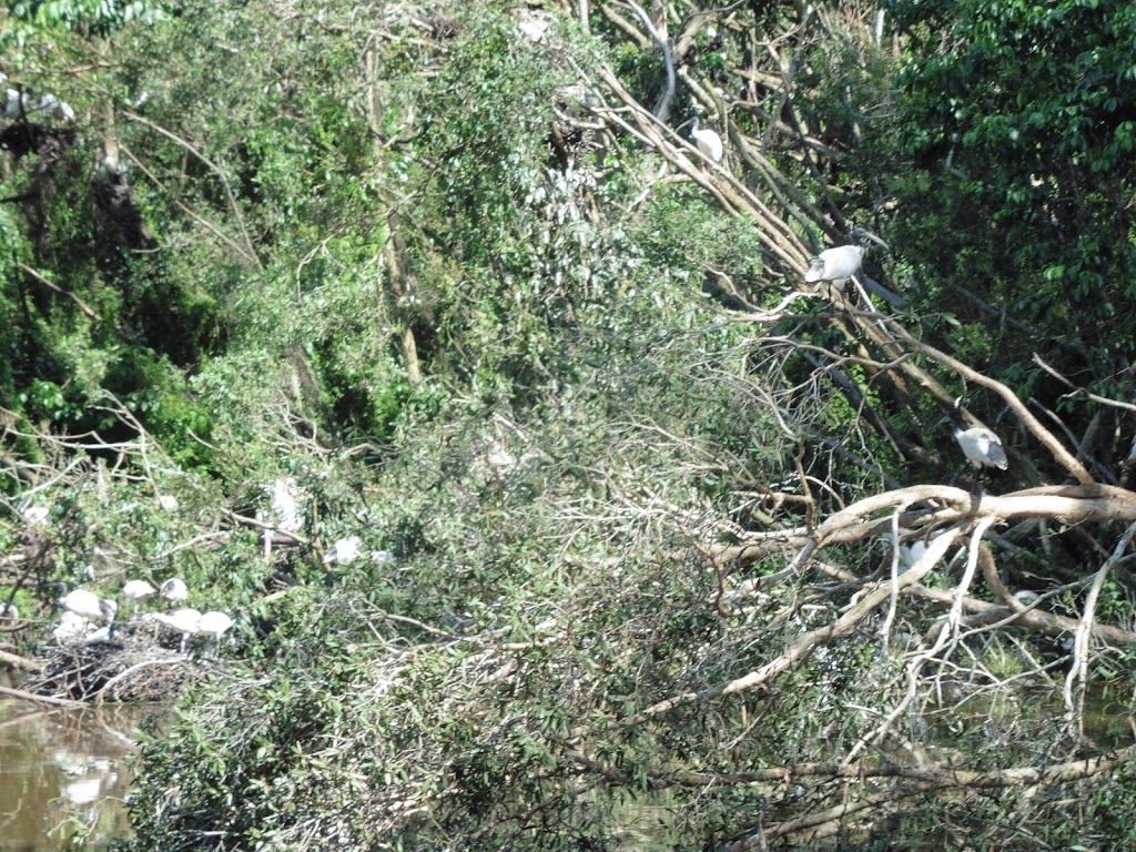 Foto  8