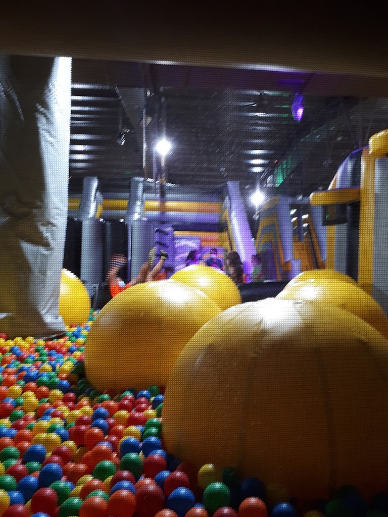 Foto  7