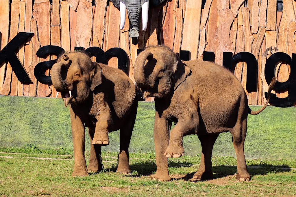 Lembang Park & Zoo 1