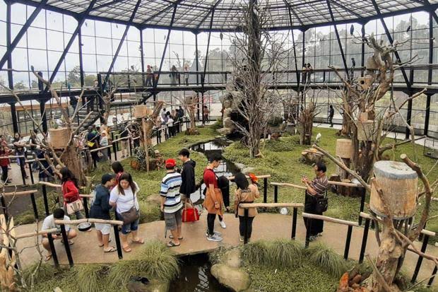 Lembang Park & Zoo 3