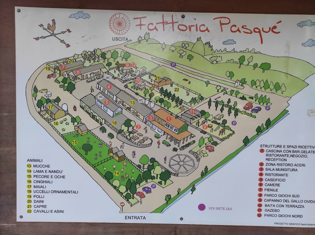 Fattoria Pasqué 7