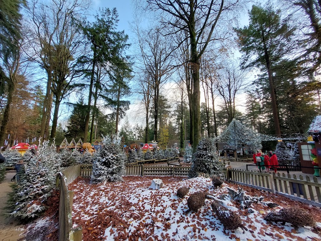 Foto  4