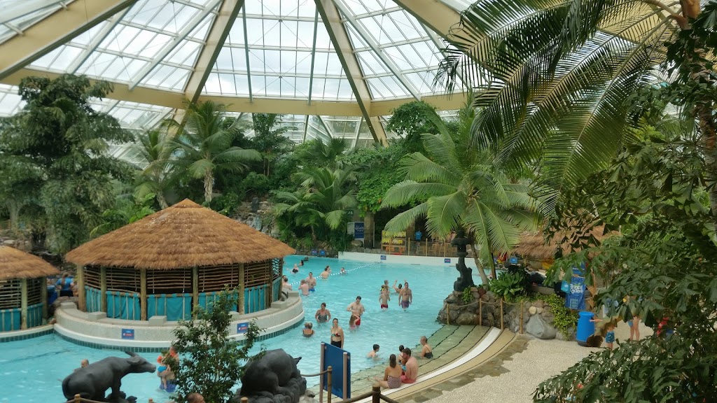 Elveden Forest Subtropical Swimming Paradise 1