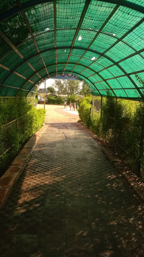Foto  10