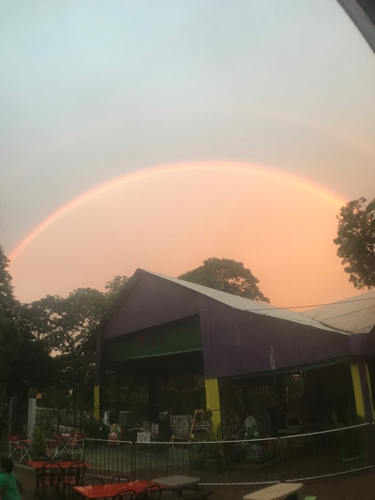 Foto  10