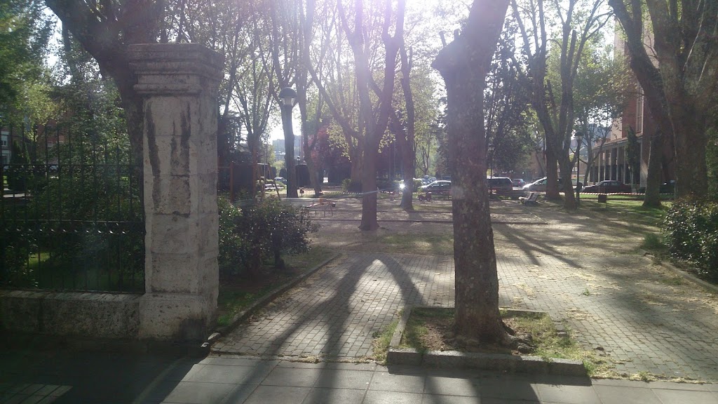 Foto  7