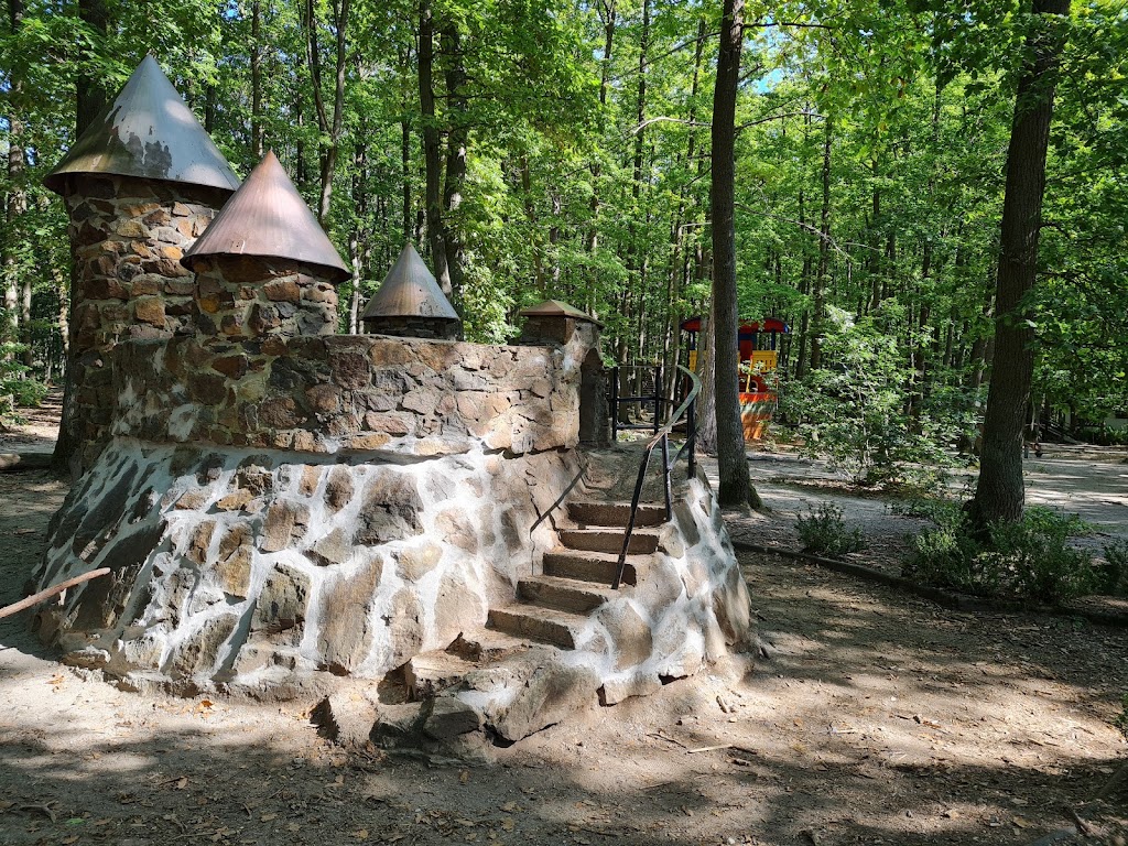 Foto  5