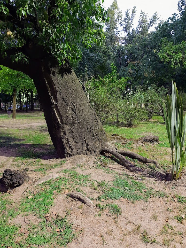 Parque De Lomas De Zamora 5